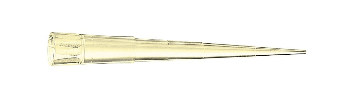 2-200ul吸头